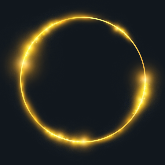 vip-icon-circle